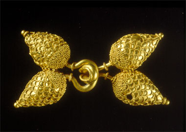 Orecchino d'oro proveniente dal corredo della Tomba dei Flabelli di Populonia