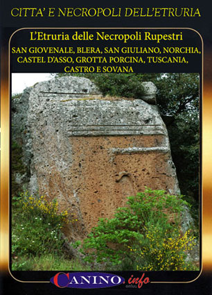 La copertina del DVD