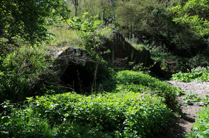 Il Ponte del Diavolo avvolto dalla vegetazione Il Ponte del Diavolo avvolto dalla vegetazione