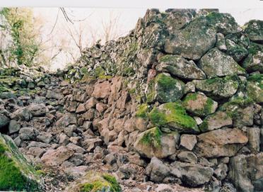 Resti di mura etrusche a Rofalco