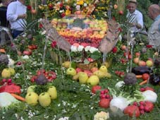Sul piazzale del Santuario i carri si lasciano ammirare