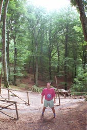 Sutri, Anfiteatro