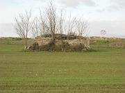 Rovine avvolte dalla vegetazione nei pressi della Lettighetta