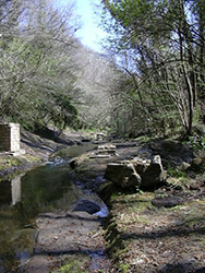 Il ponte crollato sull'Olpeta