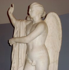 Le forme sinuose e femminee del Pothos