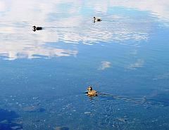 Acqua da vivere