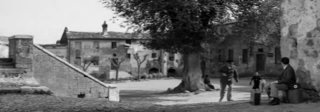 Valentano, piazza della Vittoria con l'Alberone