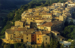 Castelvecchio visto dall'alto