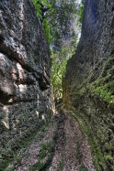 La cava buia di Norchia