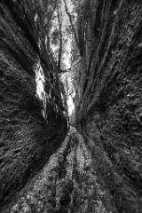 La cava buia di Norchia