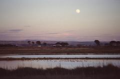 Luna piena sulle saline con fenicotteri rosa