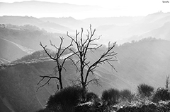 Il guardiano della valle dei calanchi