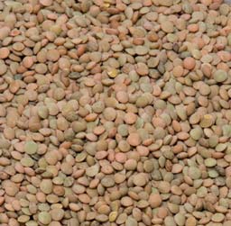 Immagini storiche della sfilata dei carri di Celleno