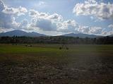 Per le necessit� dell'agricoltura