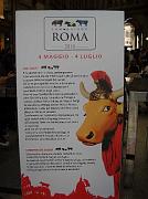 Il manifesto della mostra