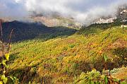 Castelnuovo e la sua valle