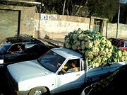 Un venditore affronta il traffico del Cairo con un carico di cavolfiori