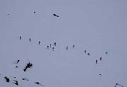 Laggi�, in mezzo alla neve